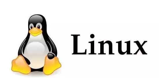 LINUX内核网络性能优化